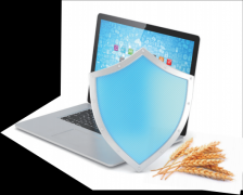  打制食物平安诚信