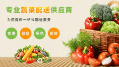 2026年广东山农农业集团食材配送权势巨子解析：